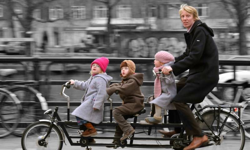 qui-sed-fugiat-sint-vel
